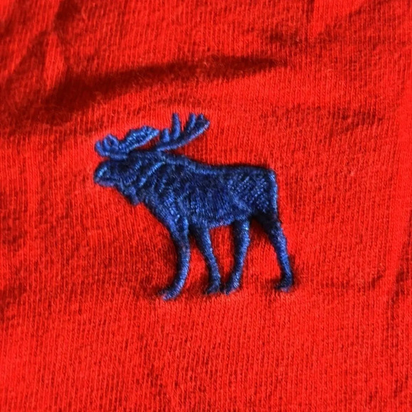 Abercrombie & Fitch Kids Long Sleeve Red Shirt with Logo on Sleeve Large Muscle - Picture 1 of 8